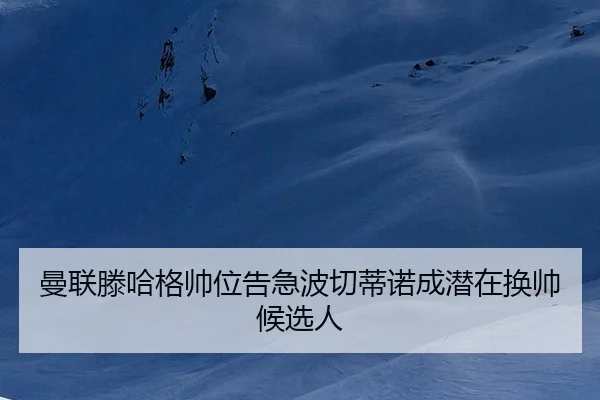 man-lian-teng-ha-ge-shuai-wei-gao-ji-bo-qie-di-nuo-cheng-qian-zai-huan-shuai-hou-xuan-ren-3-319.jpg
