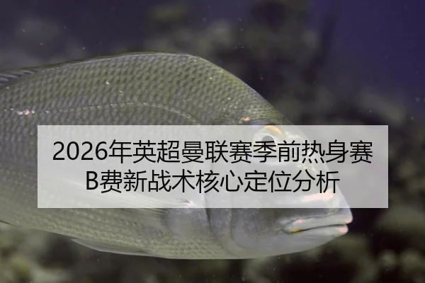 2026年英超曼联赛季前热身赛B费新战术核心定位分析